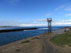 IMG_0039