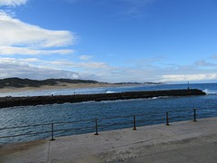 IMG_0041