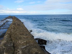 IMG_0042