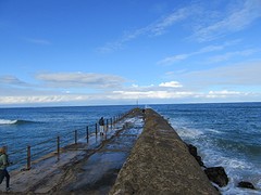 IMG_0044