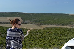 Addo