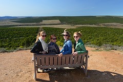 Addo