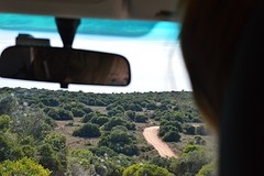 Addo