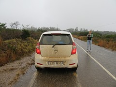 Witte auto
