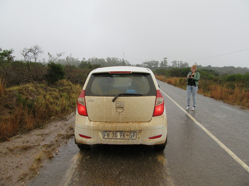 Witte auto