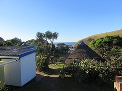 IMG_0187