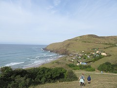 IMG_0230