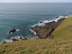 IMG_0233