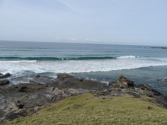 IMG_0239