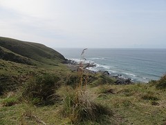 IMG_0240