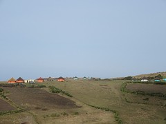 IMG_0243