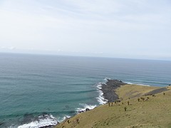 IMG_0246