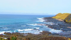 IMG_0257