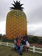 Big pineapple
