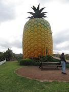 Big pineapple