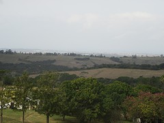 IMG_0337