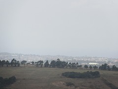 IMG_0338