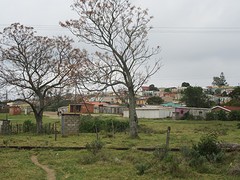 IMG_0349
