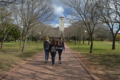 Universiteit in Grahamstown