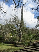 IMG_0358