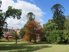 IMG_0359