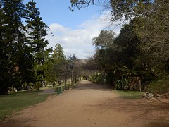 P8190137