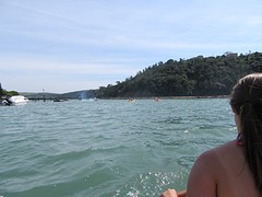 IMG_0388