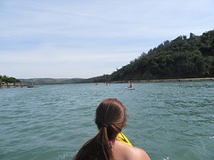 IMG_0393