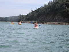 IMG_0394