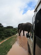 IMG_0454