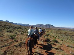 IMG_0501