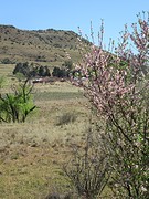IMG_0544