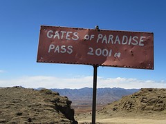 IMG_0558