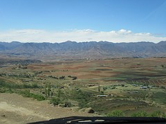 IMG_0559