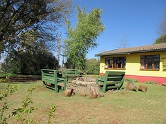 IMG_0565 (2)