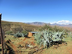 IMG_0622