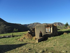IMG_0642