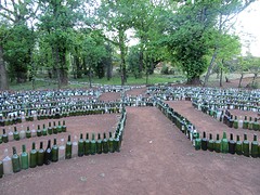 Labyrint van wijn- en bierflessen