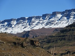 IMG_0657