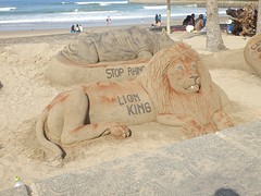 kunst op het strand