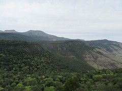 IMG_0703