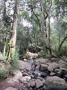 IMG_0753