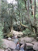 IMG_0754