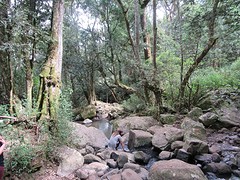 IMG_0755