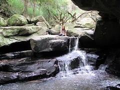 IMG_0770