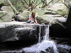 IMG_0771