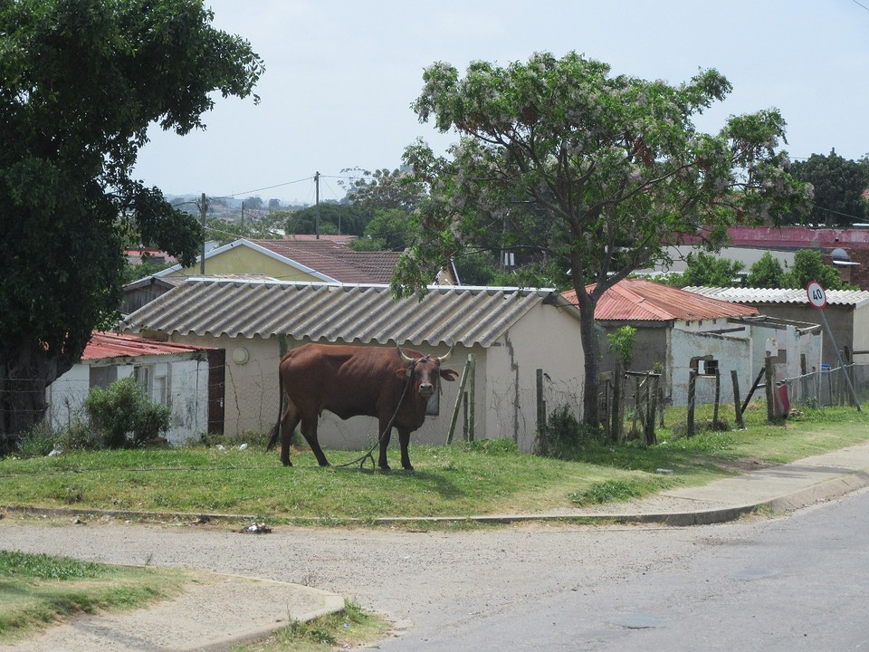 Township Port Alfred