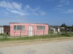 IMG_0813