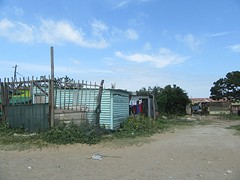 IMG_0817