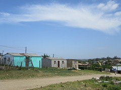 IMG_0822